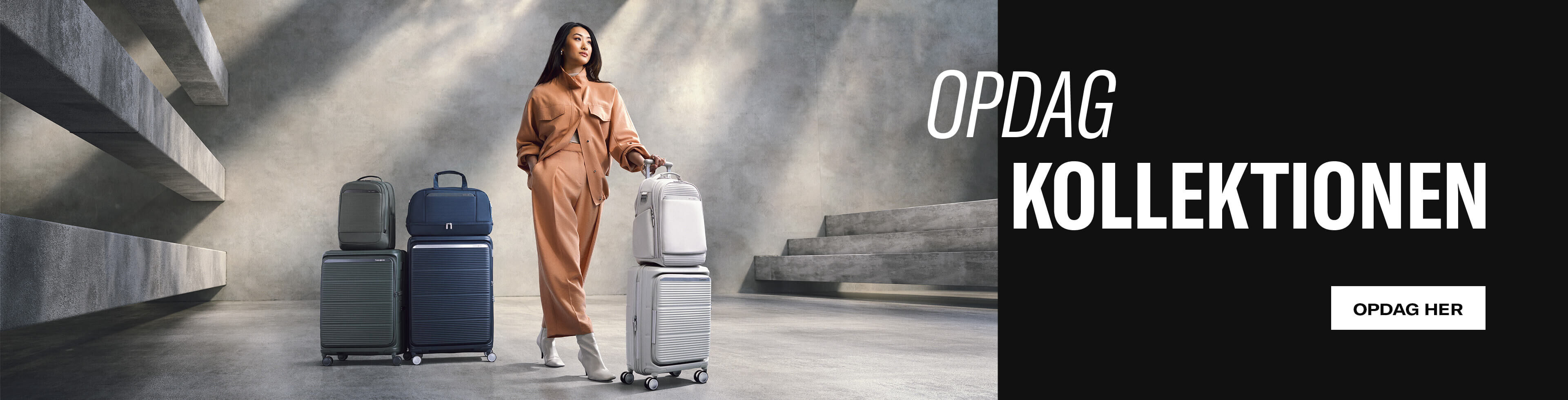 Discover the Paralux Collection