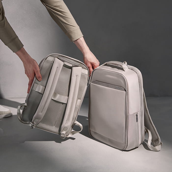 Paralux Two Bags in One - Paralux Samsonite Collection
